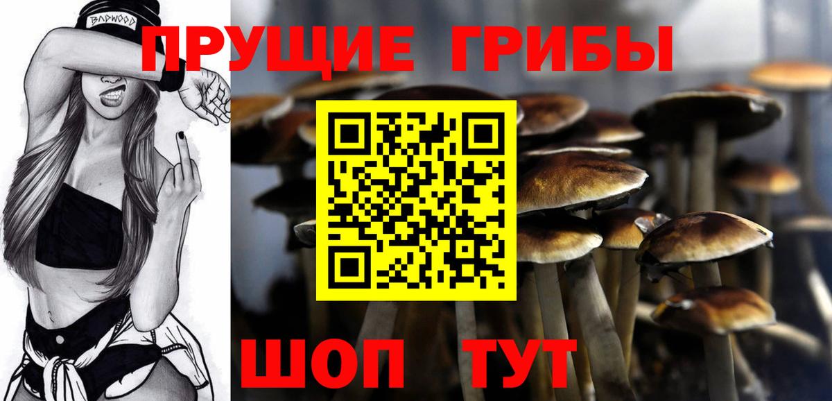 Галлюциногенные грибы мухоморы  Вход с VPN  Псилоцибиновые грибы Psilocybine cubensis  Рузаевка 